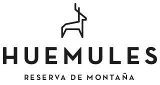 Logo Huemules