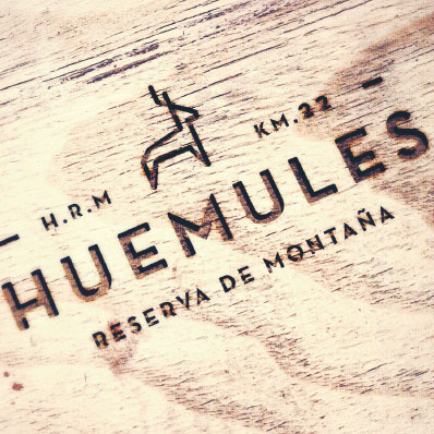 logo-wood